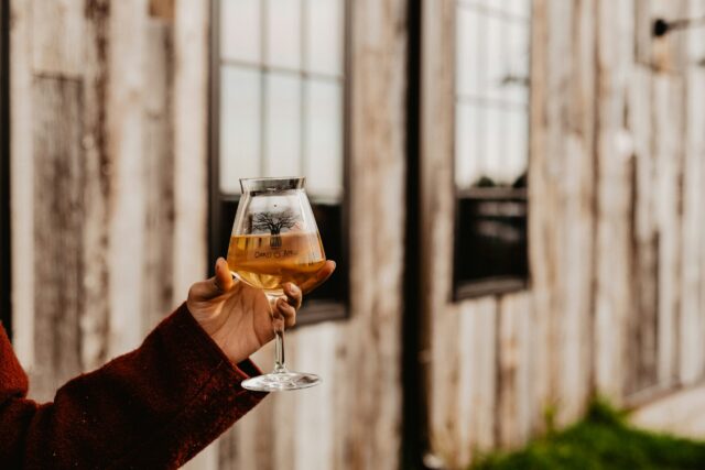 person holding a glass of cider