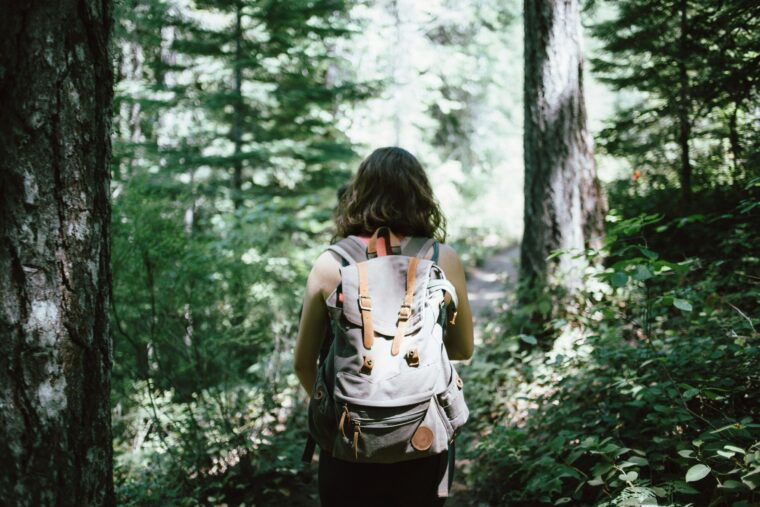 hiking in the forest on a sunny day