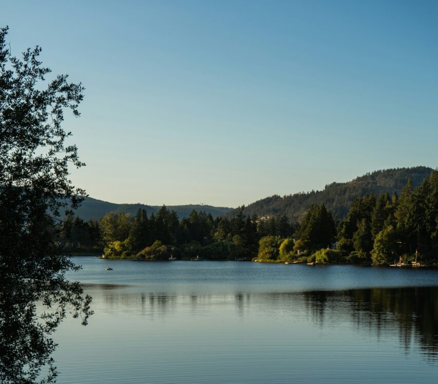 green trees around a lake and blue sky - Langford Lake