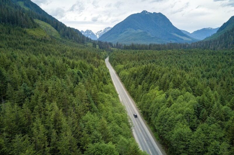 aerial shot of a long, straight stretch of road in an evergreen forest with hills covered in forests - Pacific Northwest road trip