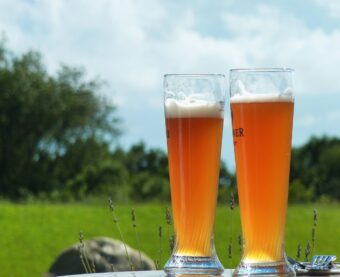 beer in the sun with grass in the background