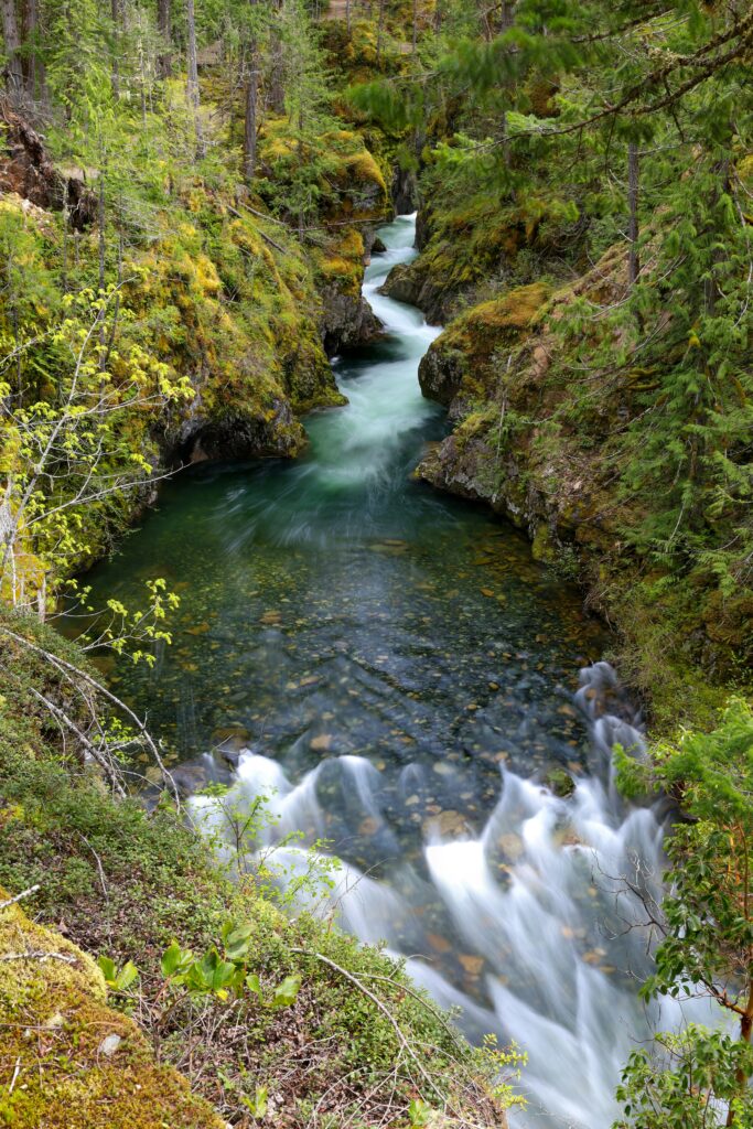 shot from above of the rushing waters of Little Qualicum falls - dark blue turquoise water and lush green banks - Vancouver Island parks and trails