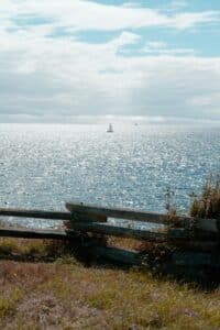 view of a sparkling ocean with a sailboat - view from Dallas Road Victoria BC