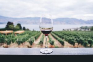 glass of wine set on a balcony with the view of a vineyard, ocean and distant hills
