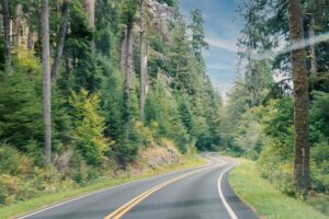winding road through the forest - Pacific Northwest - Vancouver Island road trip