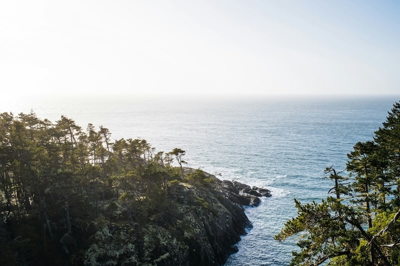 view of the ocean from a lookout point in East Sooke Park