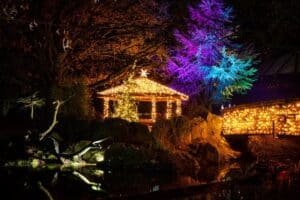 garden decorated with Christmas lights at night