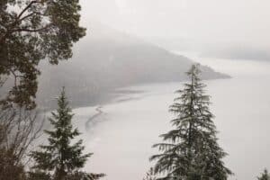 snow and fog over the ocean with evergreen trees - winter in the Pacific Northwest