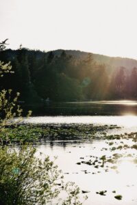 Beaver Lake on a bright sunny day