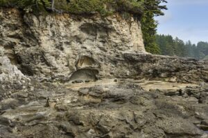 The rugged cliffs and rocks at Botanical Beach, a popular tourist destination.