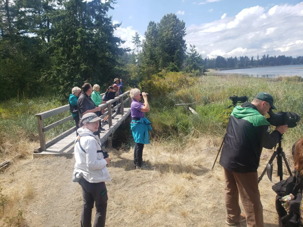 Birding Basics at Baikie Island Nature Reserve