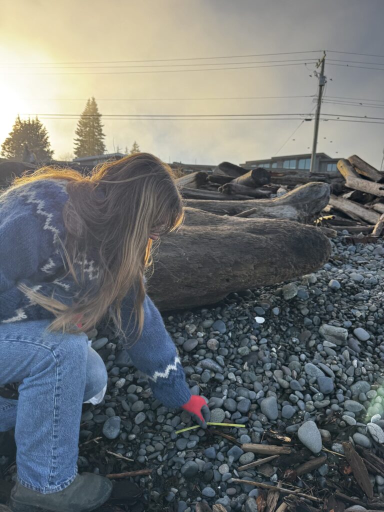 Ken Forde Park Beach Cleanup