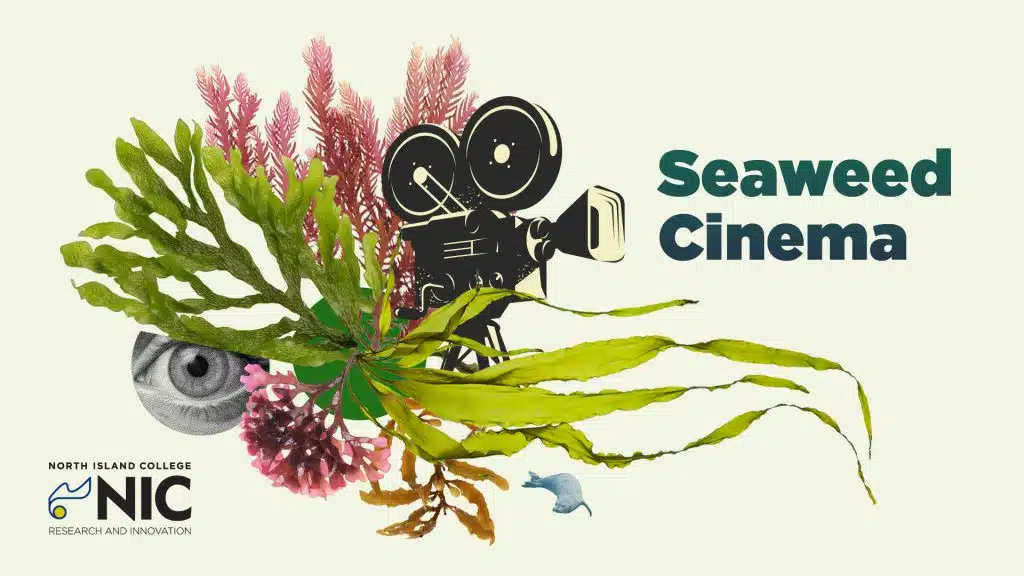 Seaweed Cinema